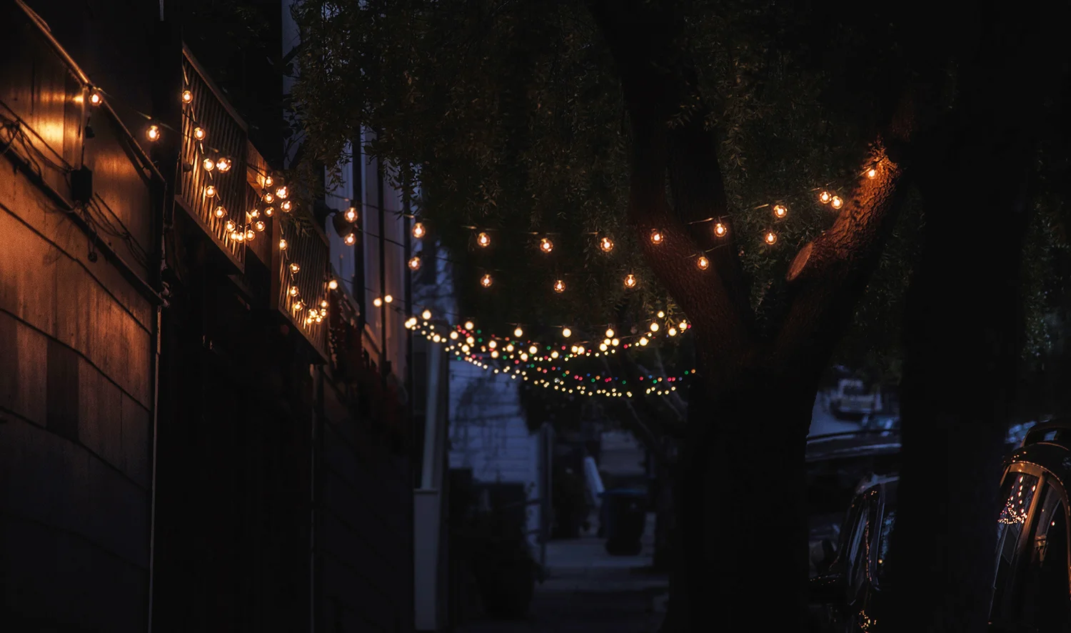 DSC_6874_web.jpg