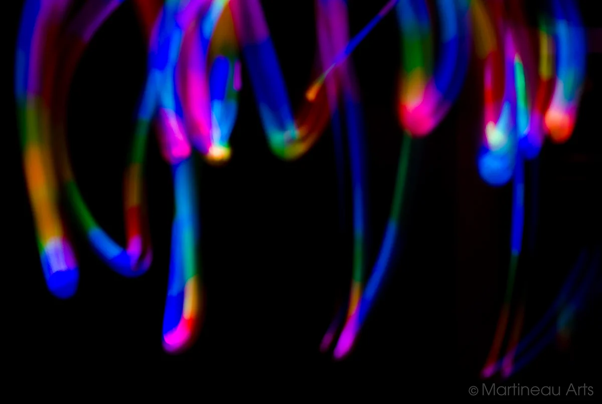 DSC_0009web.jpg
