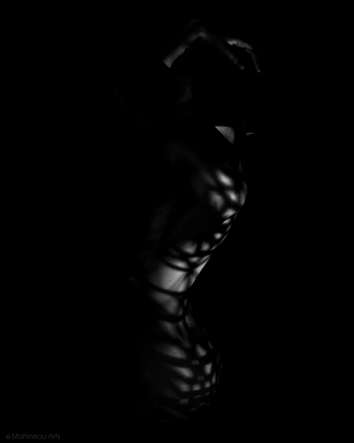 DSC_7899_A_web.jpg