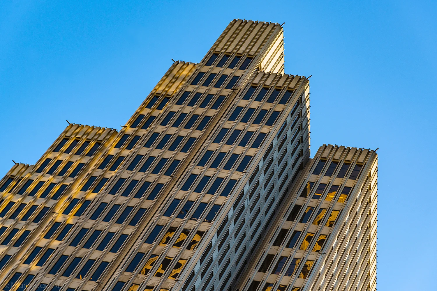 DSC_5681_web.jpg
