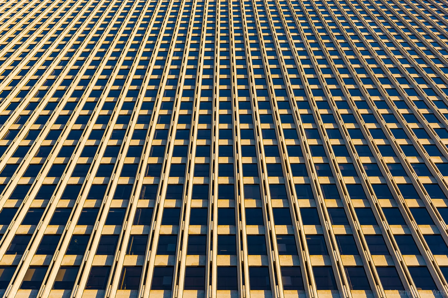 DSC_5672_web.jpg