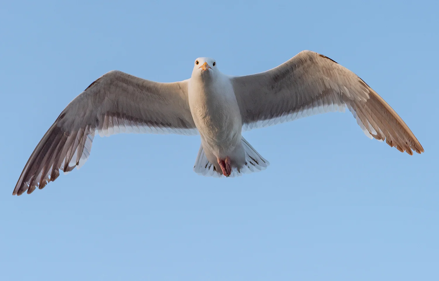 DSC_7368_web.jpg