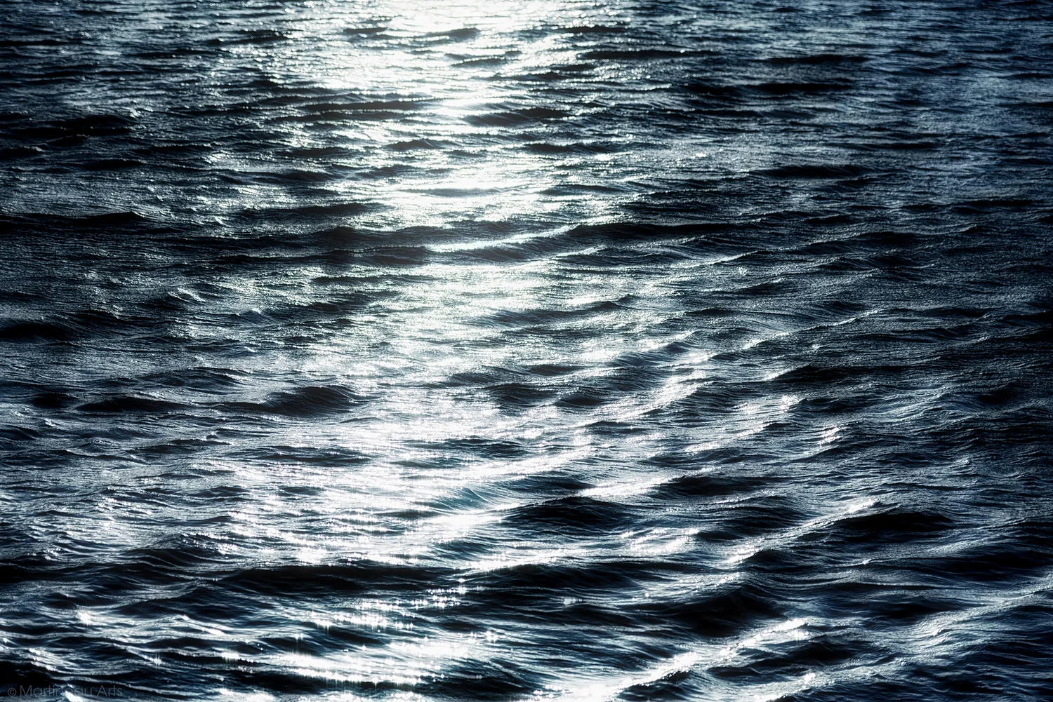 DSC_7343_web.jpg