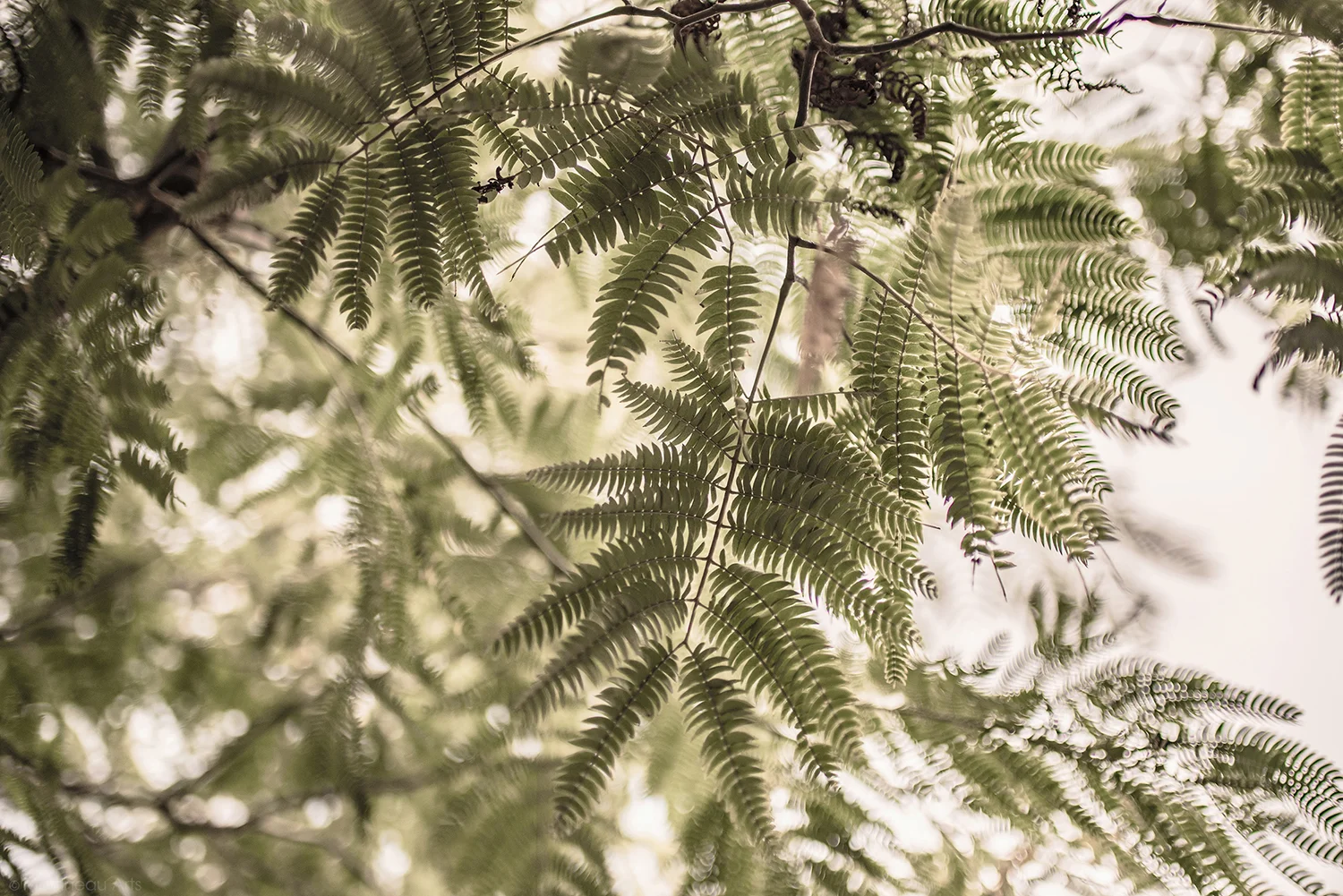 DSC_4597_web.jpg