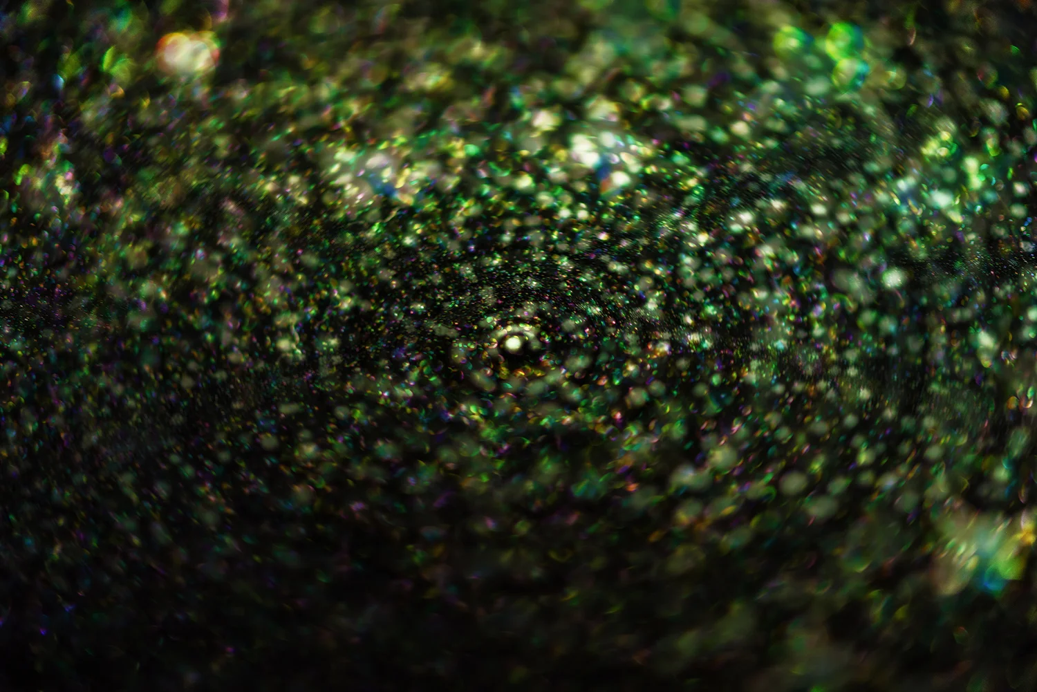 DSC_5787_web.jpg
