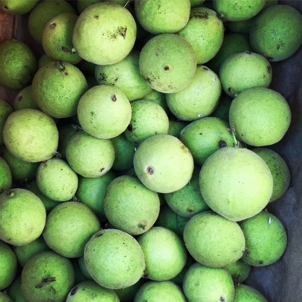 Green Walnuts