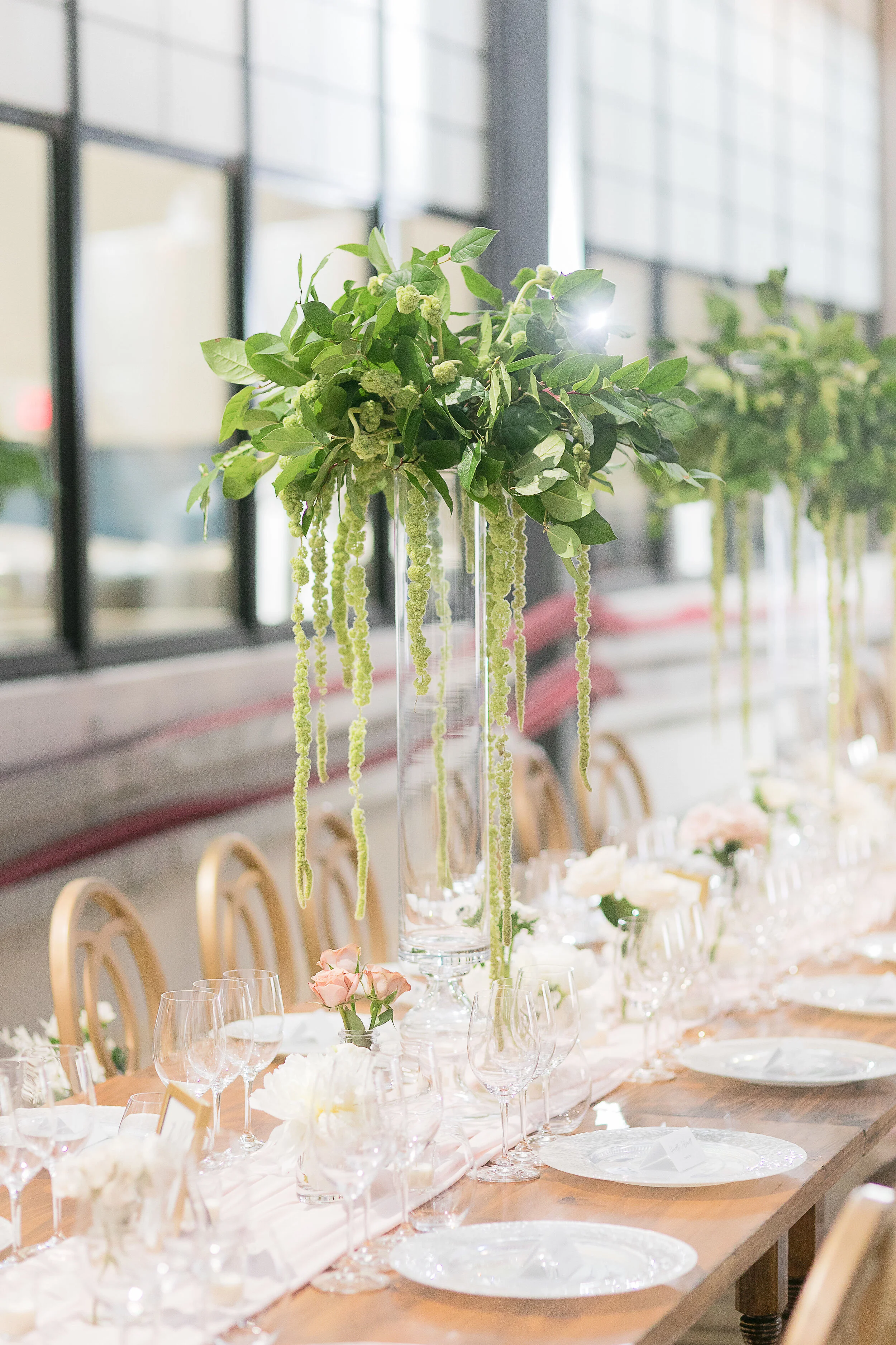 0356_Janelle___Jason___Daniel_Ricci_Weddings___High_Res._Finals_.jpg