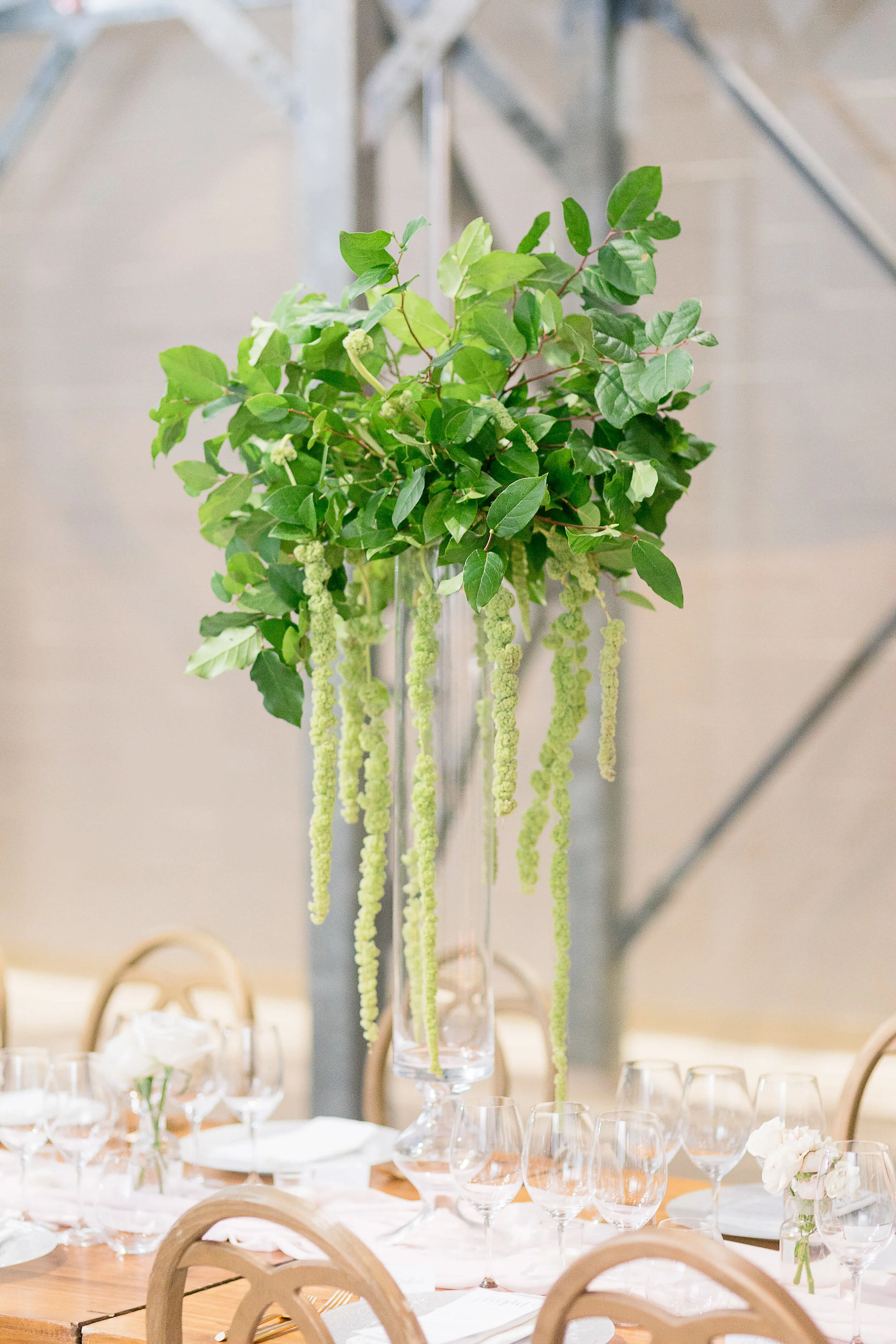 0360_Janelle___Jason___Daniel_Ricci_Weddings___High_Res._Finals_.jpg