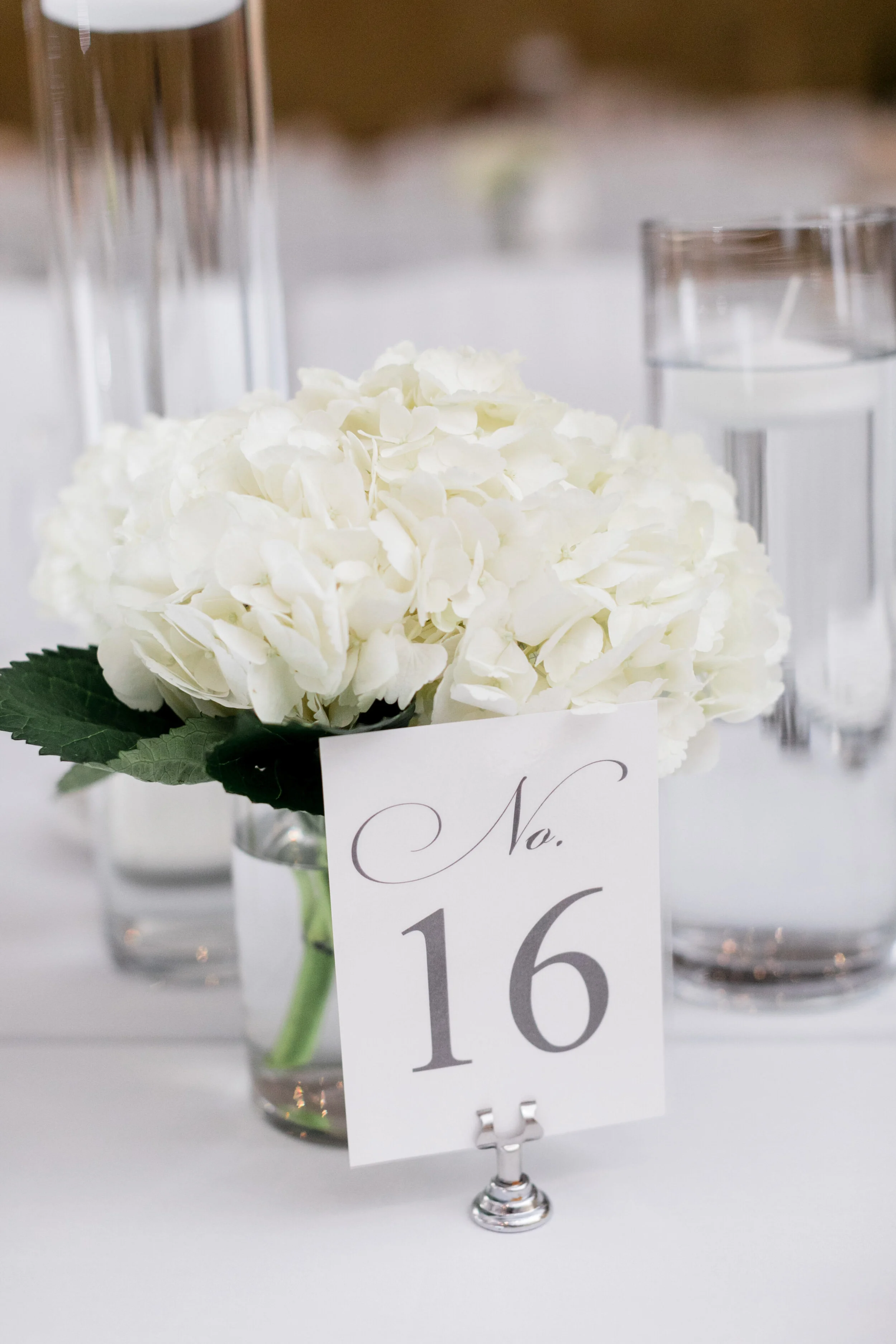 0407_Elizabeth___Michael_-_Daniel_Ricci_Weddings_High_Res._Finals.jpg