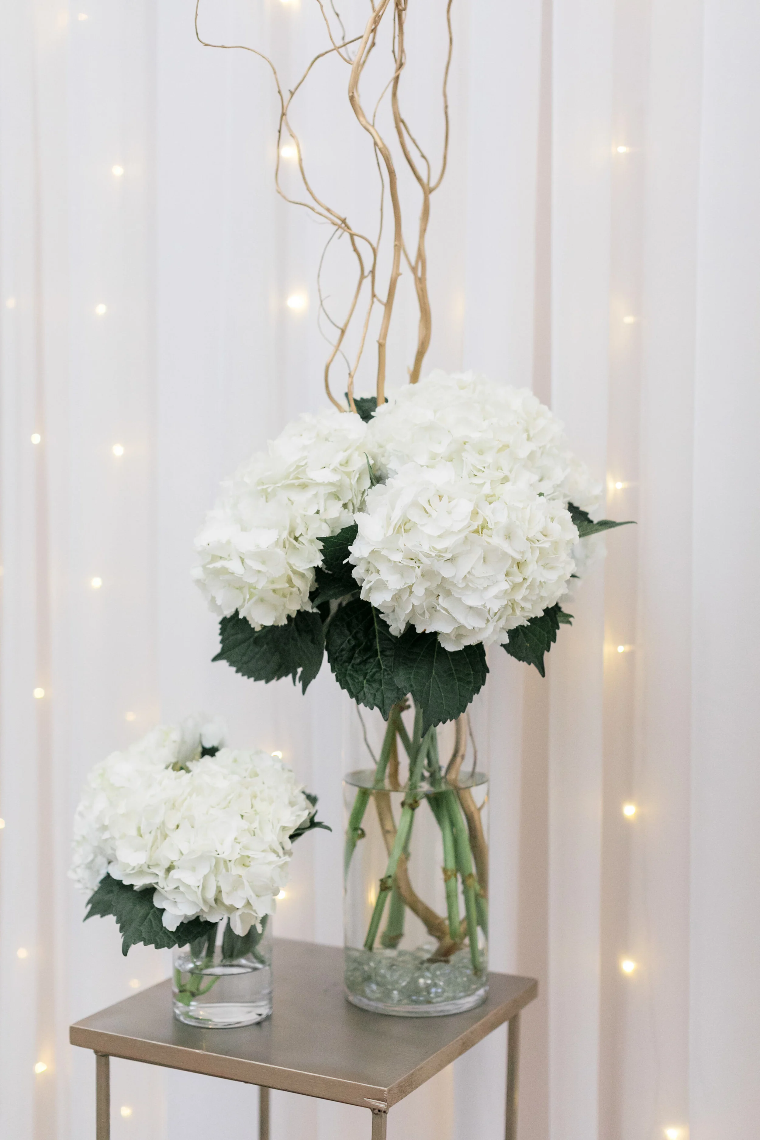 0411_Elizabeth___Michael_-_Daniel_Ricci_Weddings_High_Res._Finals.jpg