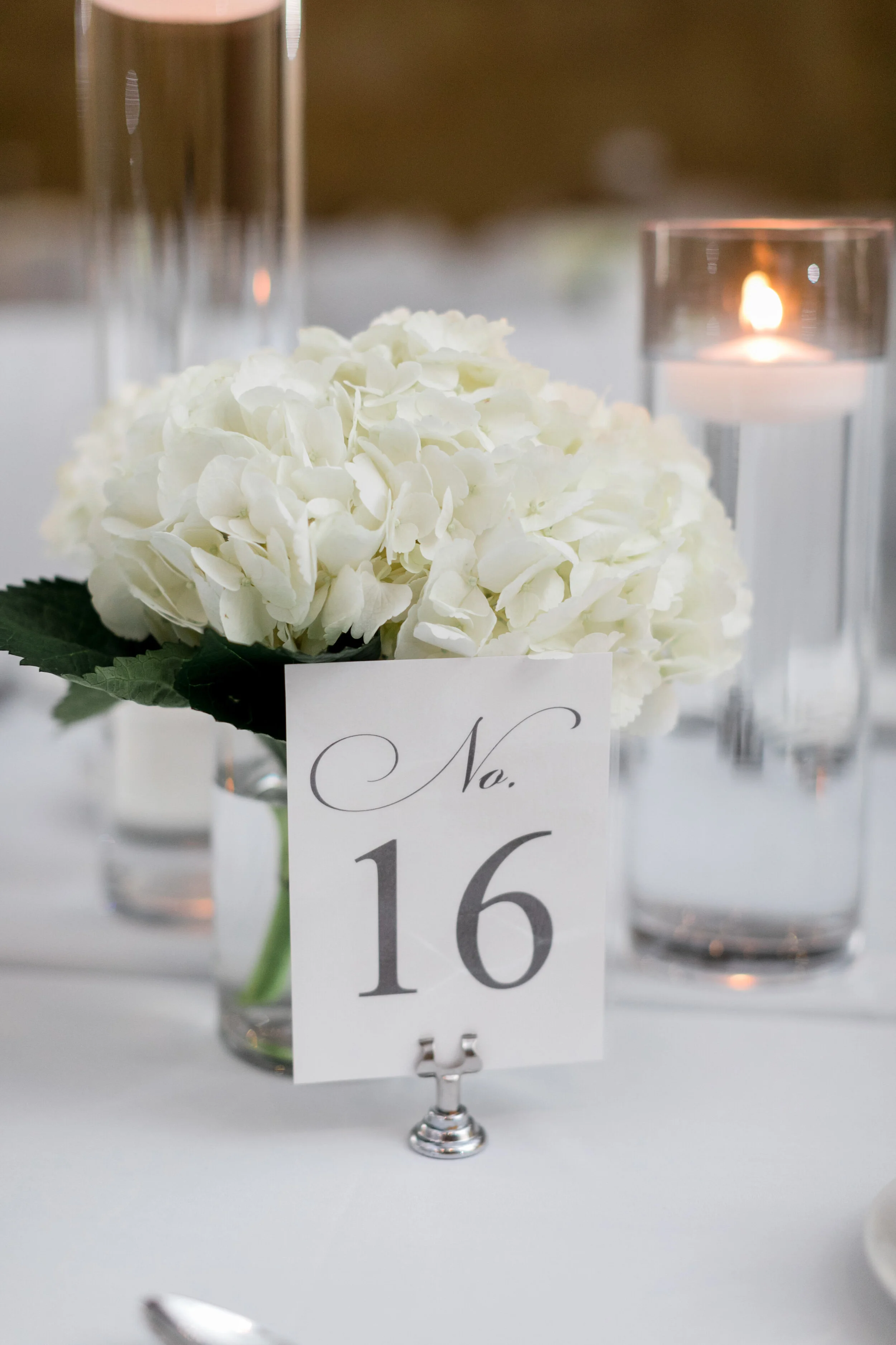0424_Elizabeth___Michael_-_Daniel_Ricci_Weddings_High_Res._Finals.jpg