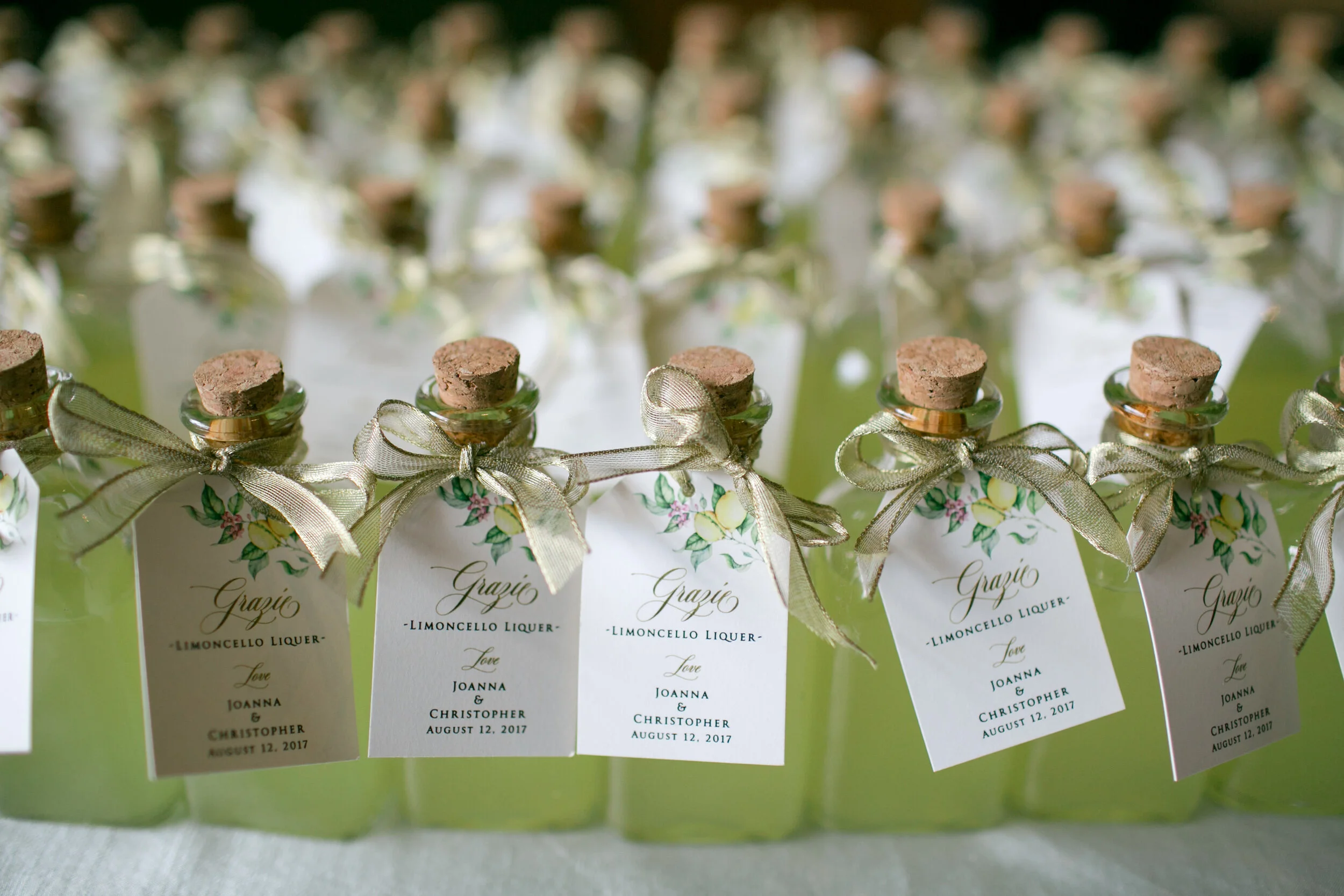Joanna___Christopher___Daniel_Ricci_Weddings___HIgH_Res._Finals_406.jpg