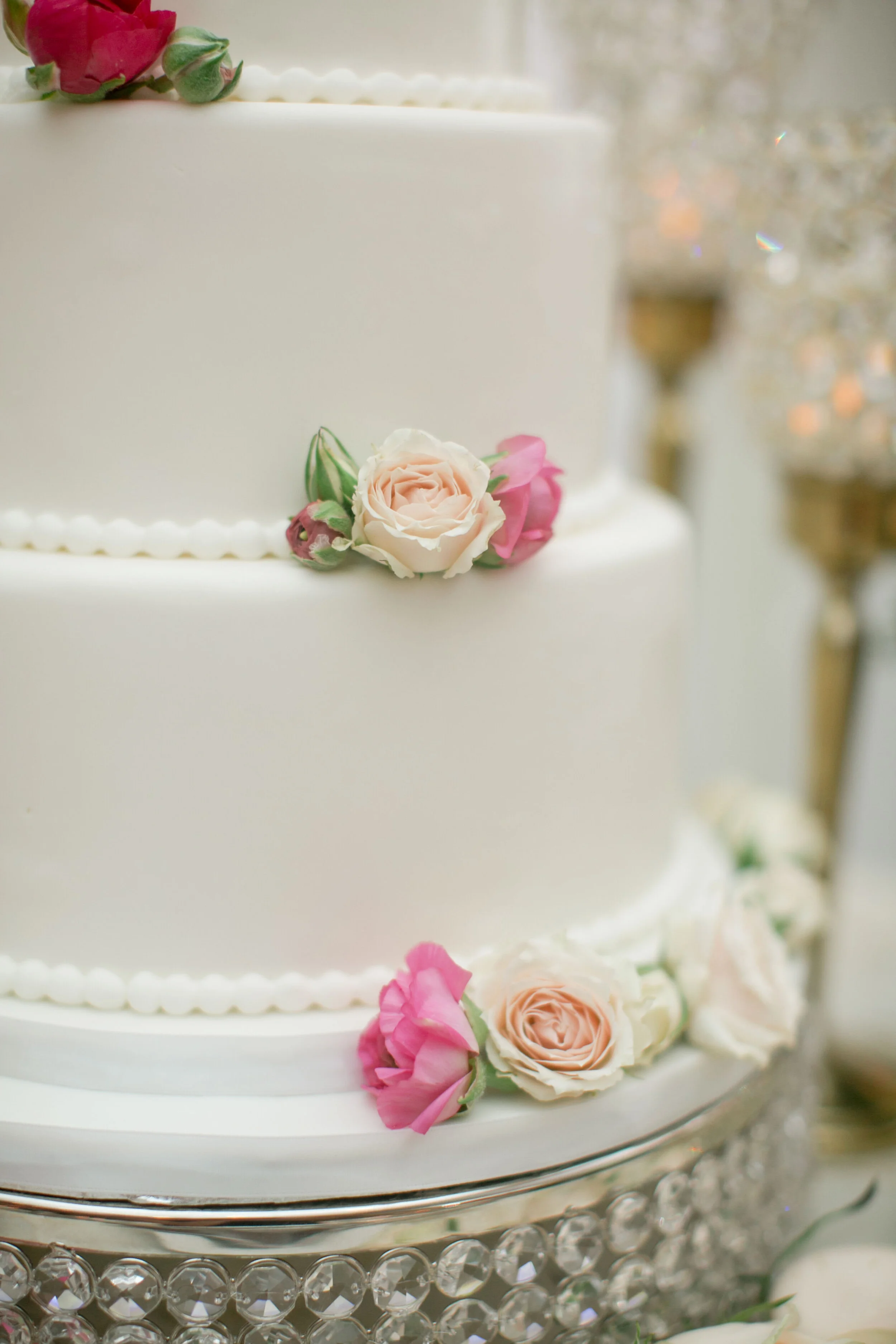 Joanna___Christopher___Daniel_Ricci_Weddings___HIgH_Res._Finals_436.jpg
