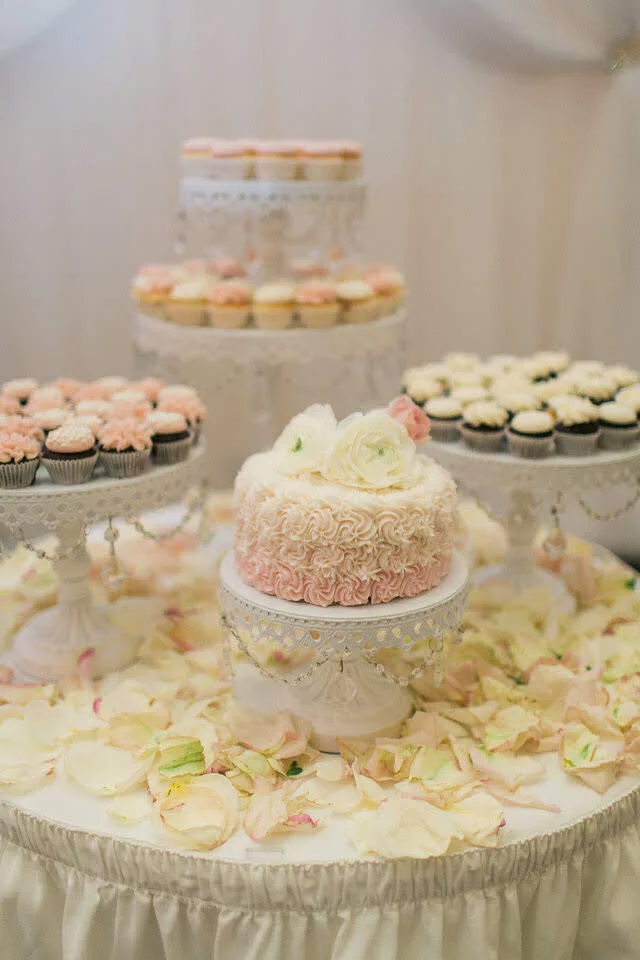 Rachel_Dan_-_Daniel_Ricci_Wedding_Photography443.jpg