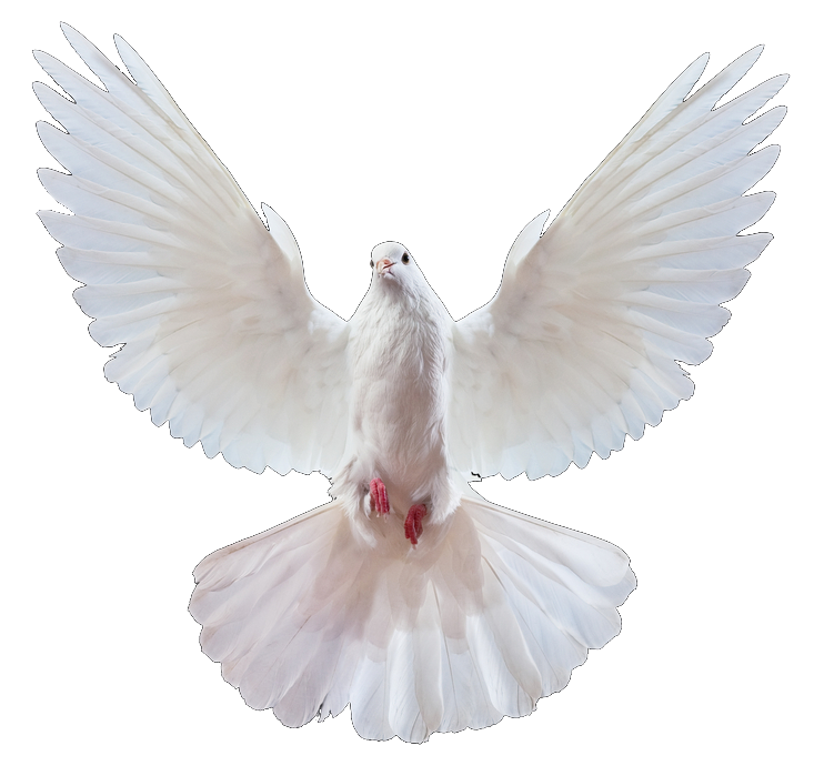 Медицинское доказательство истинности иных языков