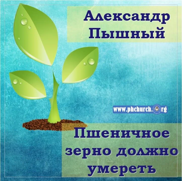 48. Пшеничное зерно должно умереть
