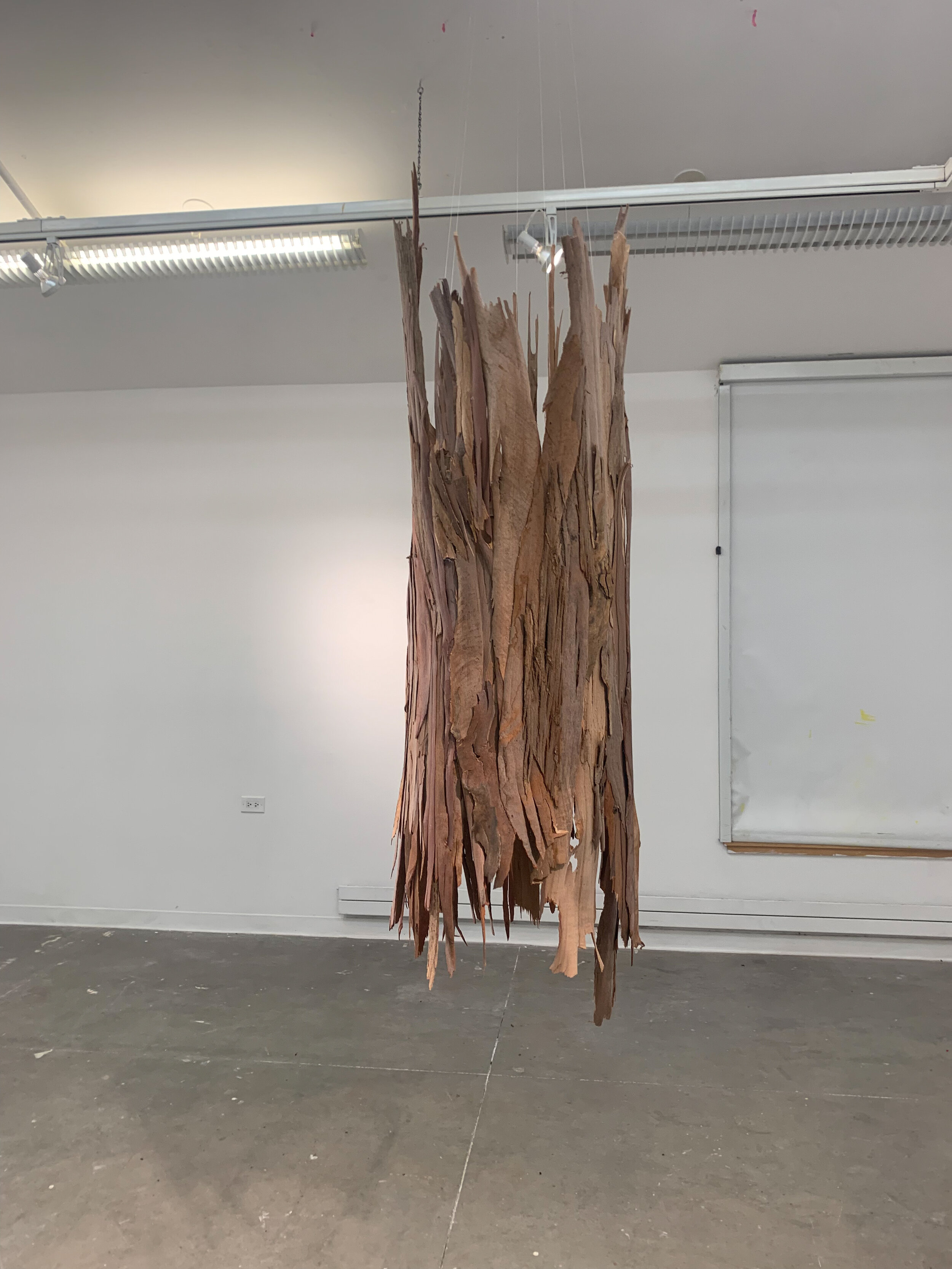 6. Student Work - Materials Project - Bark