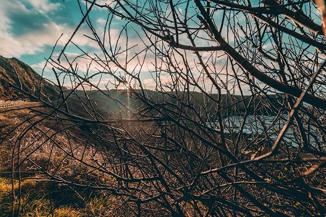 The Nothing - Korn.

#a7riii #sonyalpha #sonyimages #panorama #panoramic #landscapephotography #landscape #ireland #ireland_gram #nature #giantscauseway #forest #sgig #igsg #samyanglensglobal #samyanglens #samyang14mm #landscape_lovers #korn @korn_of