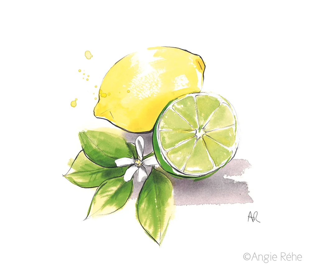 Lemon & Lime Delight