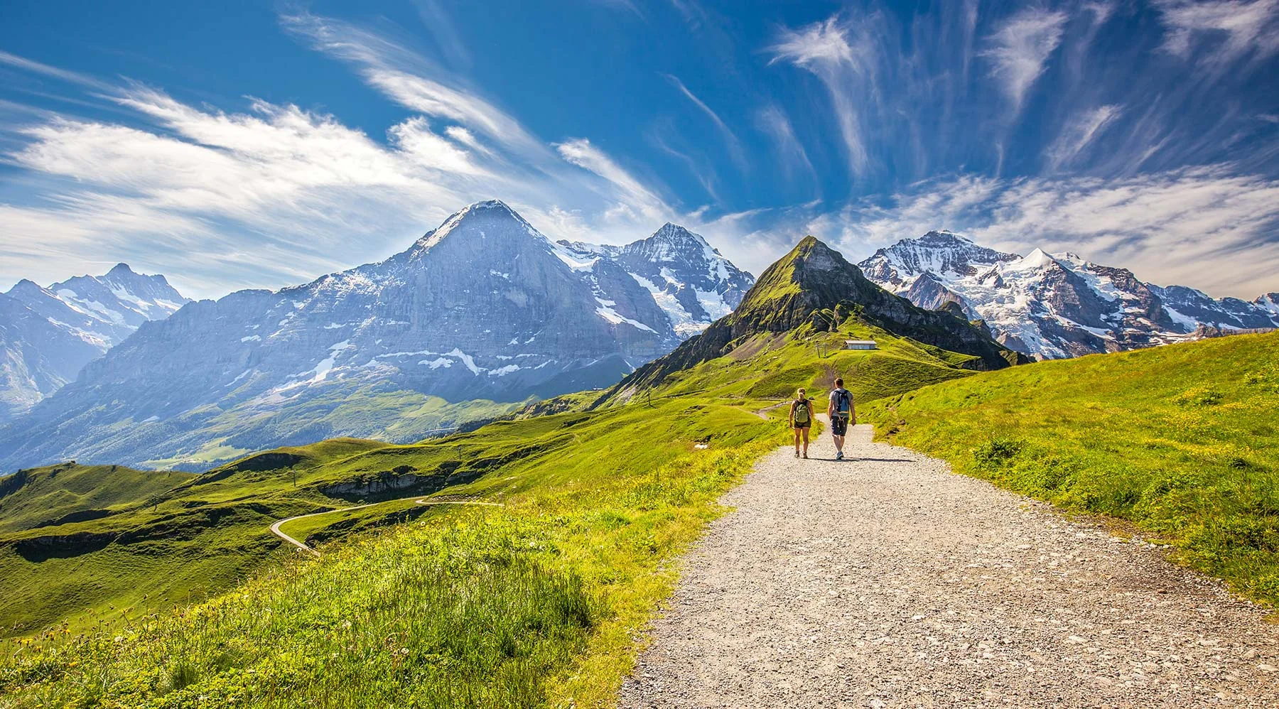 shutterstock_461207656.jpg