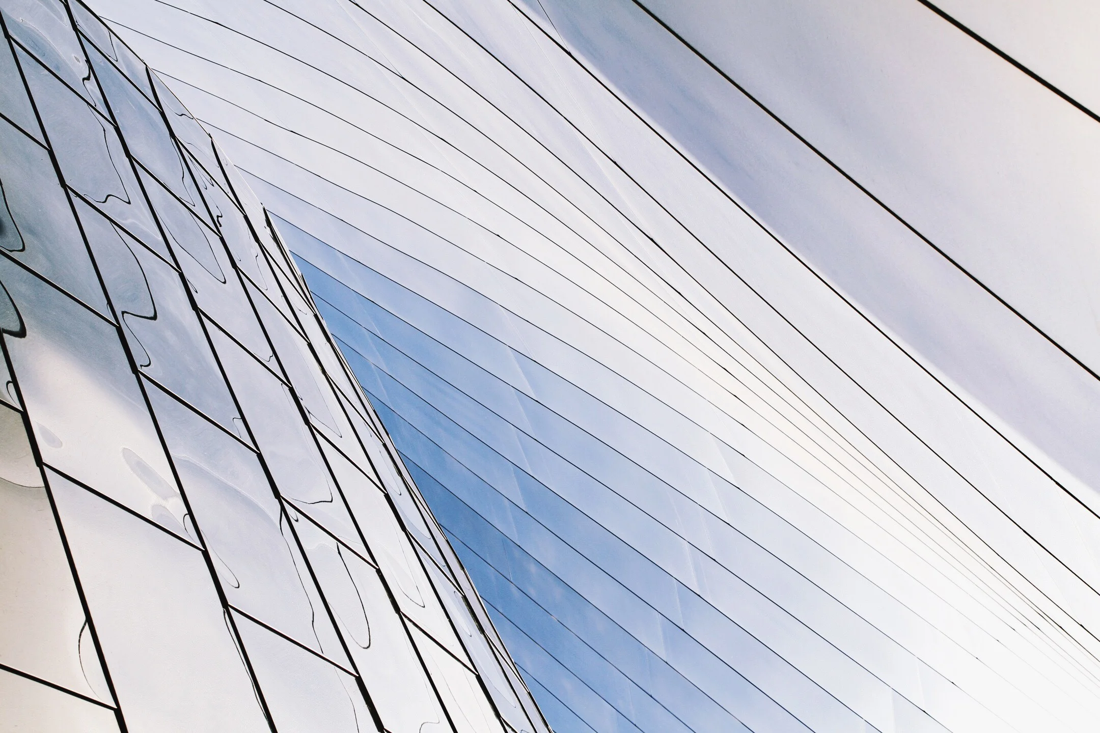 982E59F7-6FA5-42A9-9A31-F121AC099A54.jpg