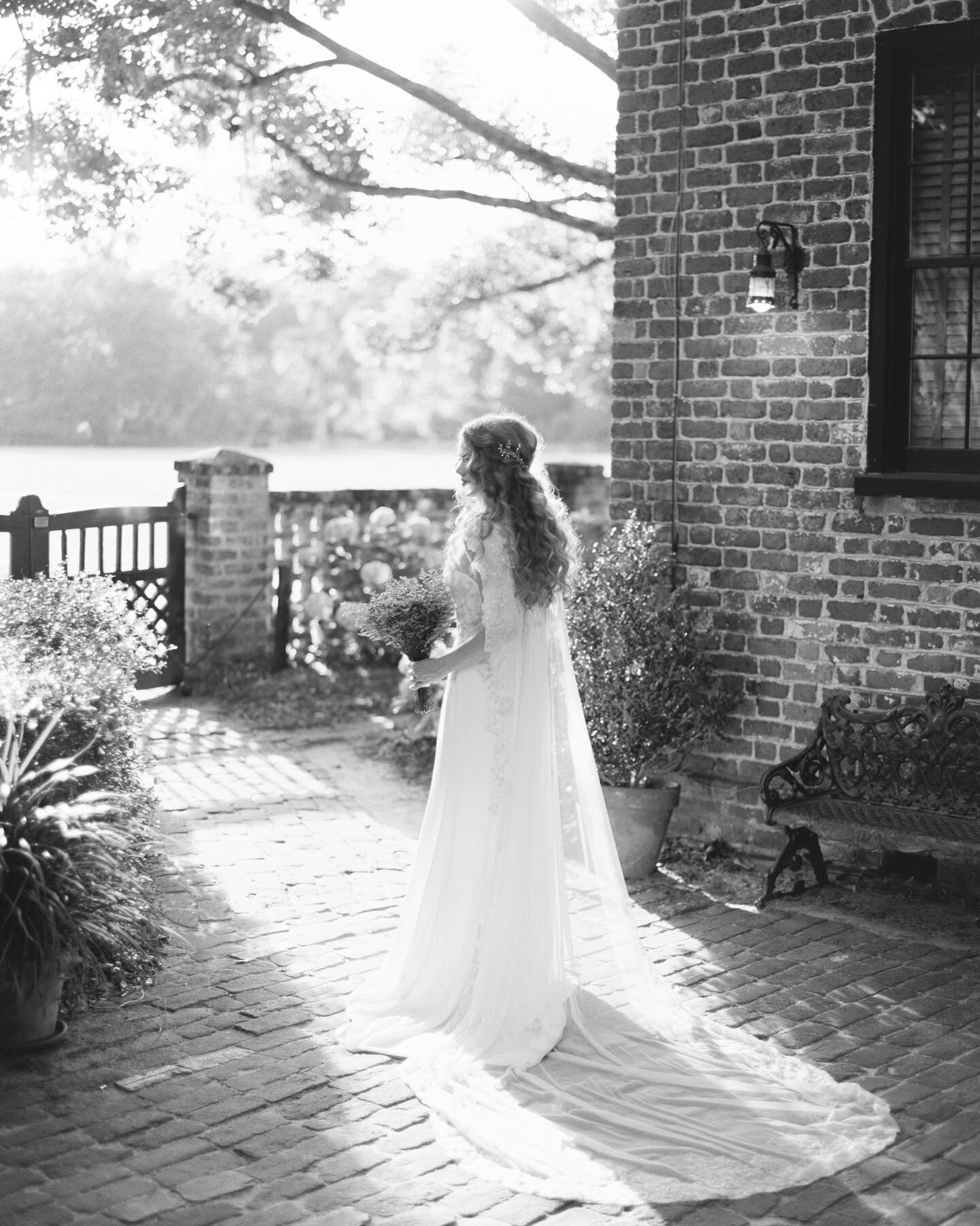 // Bridals at Middleton Place

Featured on @oncewed⠀⠀⠀⠀⠀⠀⠀⠀⠀⠀⠀⠀⠀⠀⠀⠀⠀⠀⠀⠀⠀⠀⠀⠀⠀⠀⠀⠀⠀⠀⠀⠀⠀⠀⠀⠀
Planning: @fabulous_fete⠀⠀⠀⠀⠀⠀⠀⠀⠀⠀⠀⠀⠀⠀⠀⠀⠀⠀⠀⠀⠀⠀⠀⠀⠀⠀⠀⠀⠀⠀⠀⠀⠀⠀⠀⠀
Venue: @middletonplaceweddings⠀⠀⠀⠀⠀⠀⠀⠀⠀⠀⠀⠀⠀⠀⠀⠀⠀⠀⠀⠀⠀⠀⠀⠀⠀⠀⠀⠀⠀⠀
Photography: @stephenatohi⠀⠀⠀⠀⠀⠀⠀⠀⠀⠀⠀⠀⠀⠀