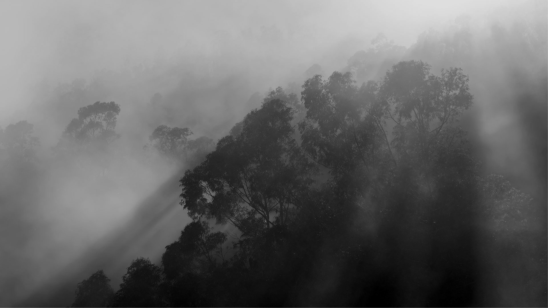 Funeral holding slides.jpg