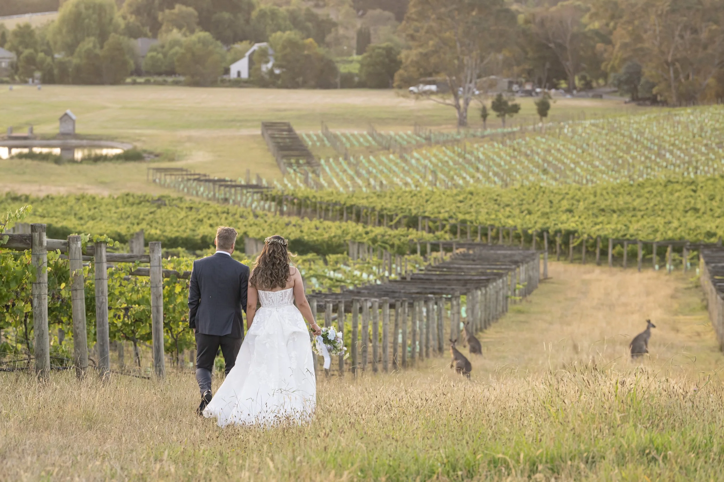 Sarah and Daniel-47.jpg