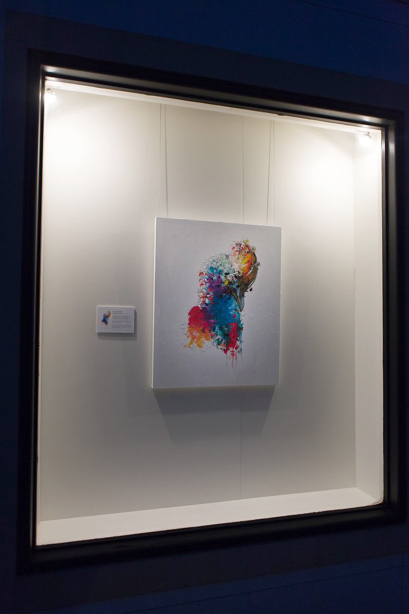 Southern Cassowary (SOLD)