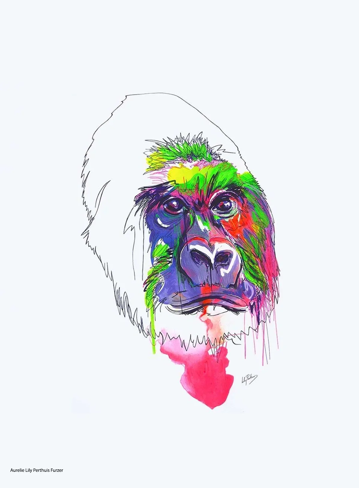 Mountain-Gorilla-Aurelie Perthuis Furzer.jpg