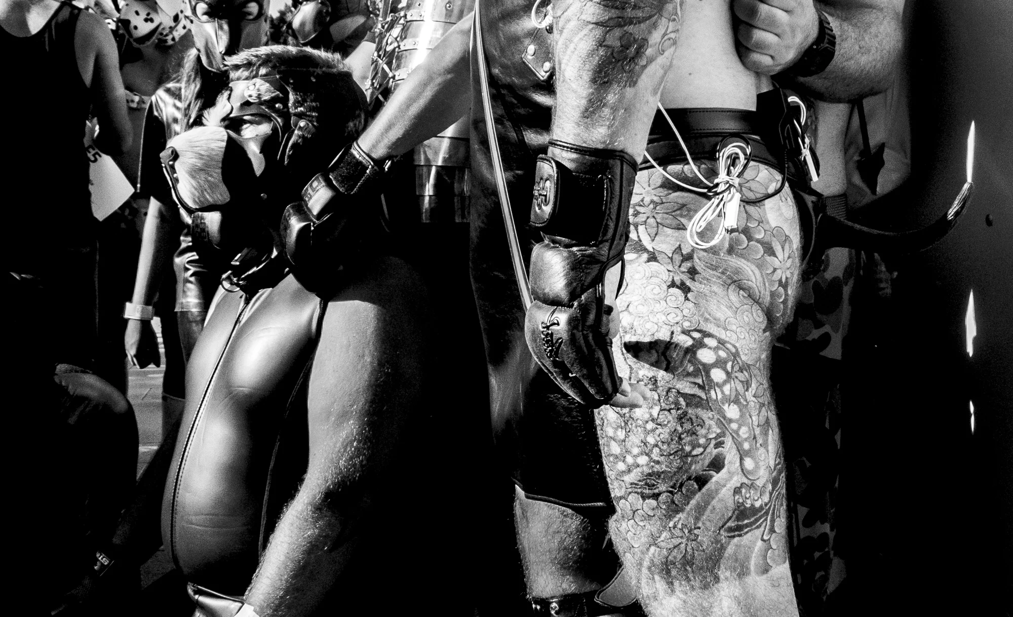 Andrew_Braithwaite_Mardi_Gras_7.jpg