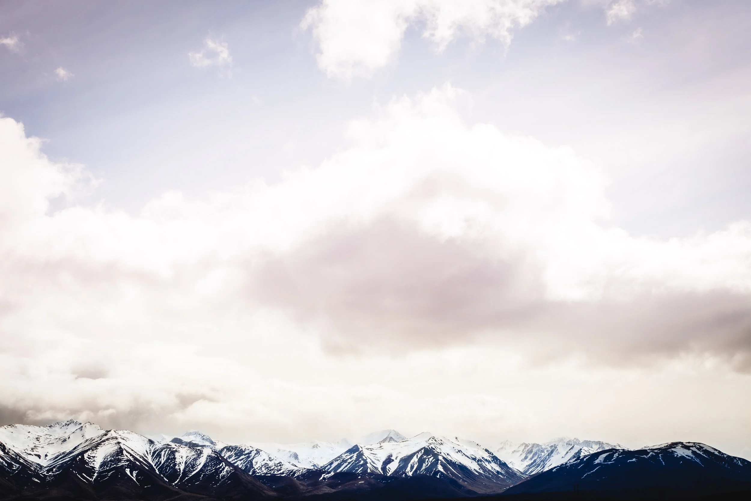 Andrew_Braithwaite_NZ_4.jpg