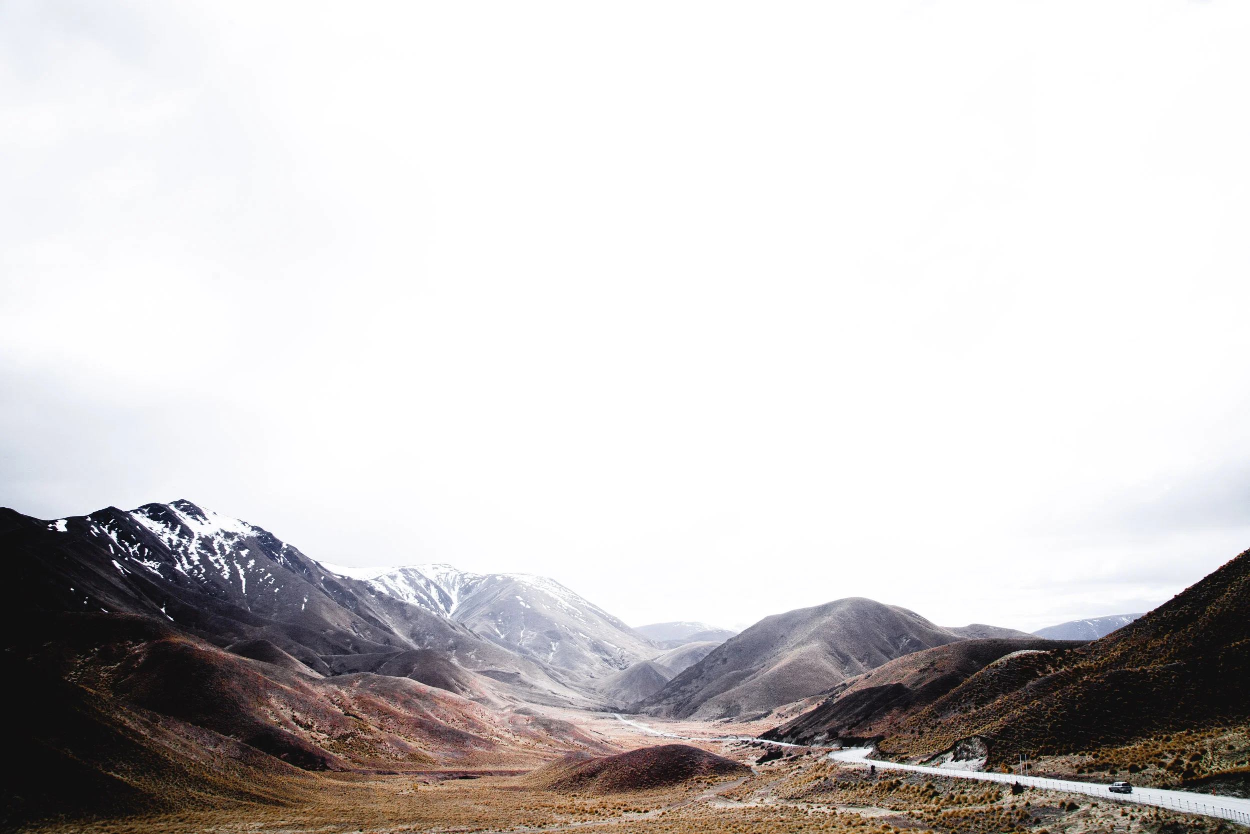 Andrew_Braithwaite_NZ_6.jpg