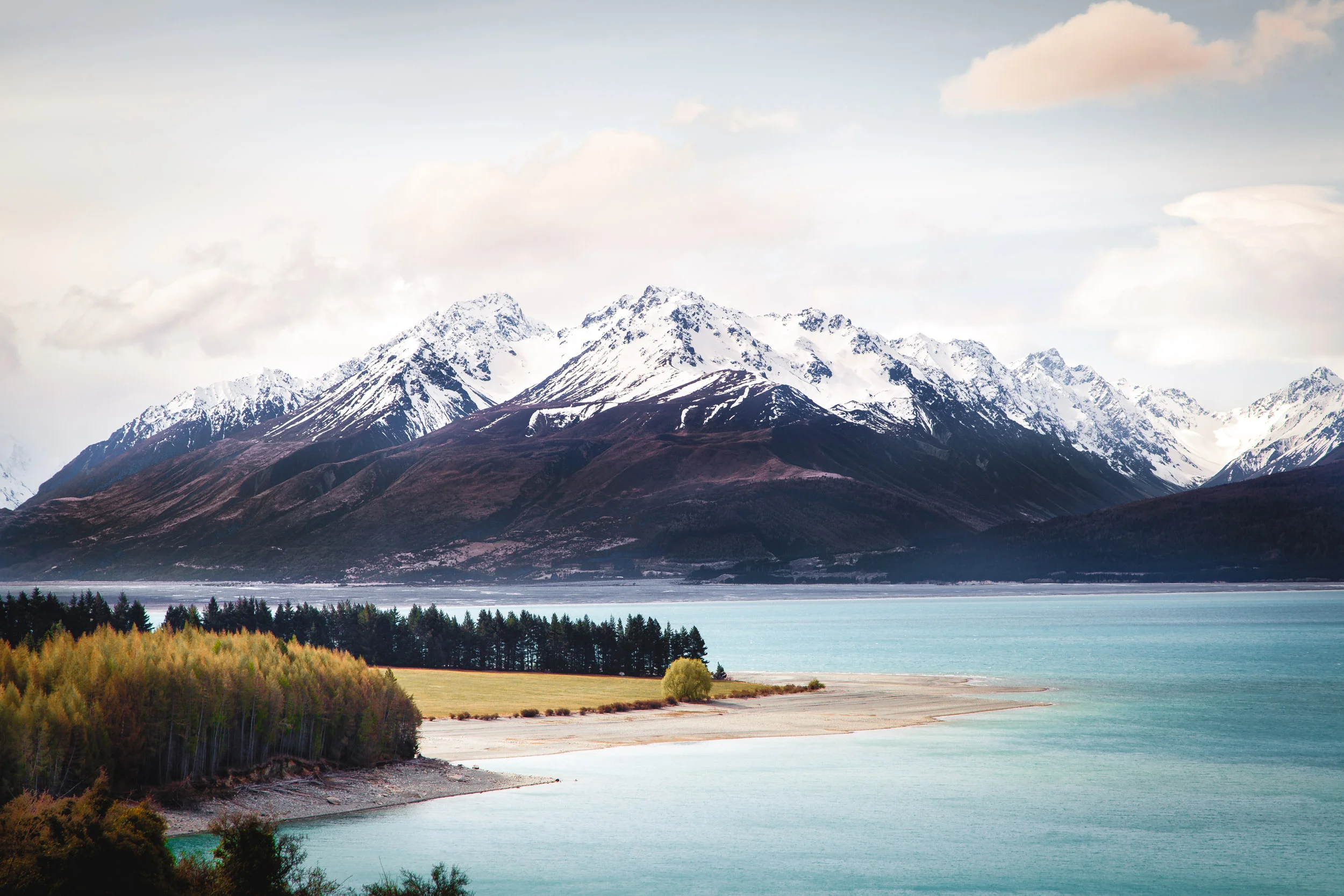 Andrew_Braithwaite_NZ_5.jpg