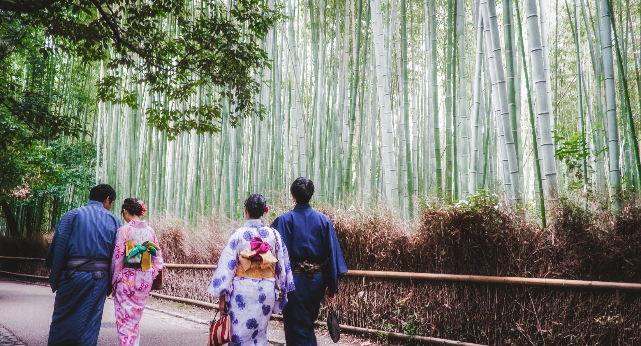 Andrew_Braithwaite_Japan_colour-7.jpg