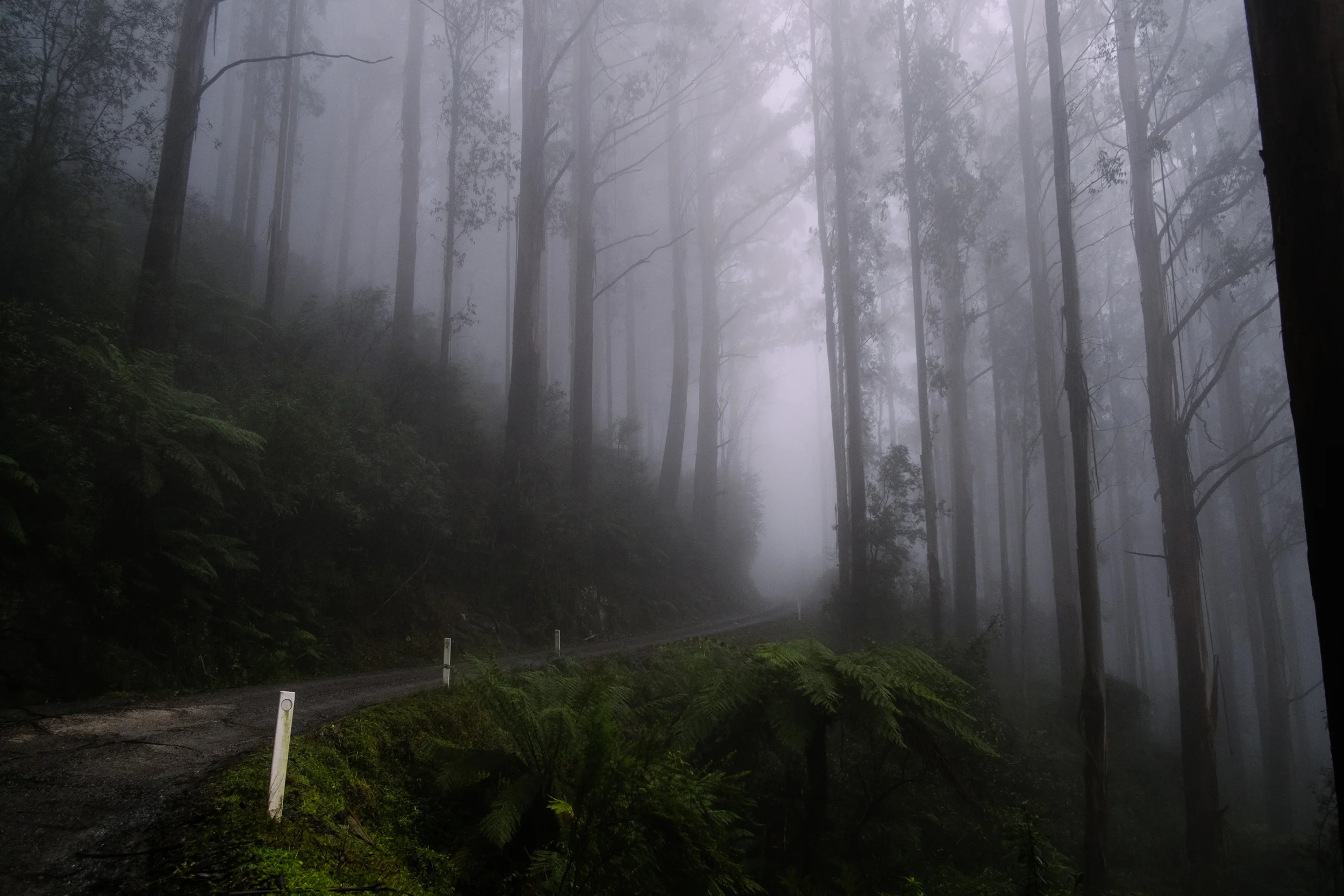 Andrew_braithwaite_places_10.jpg