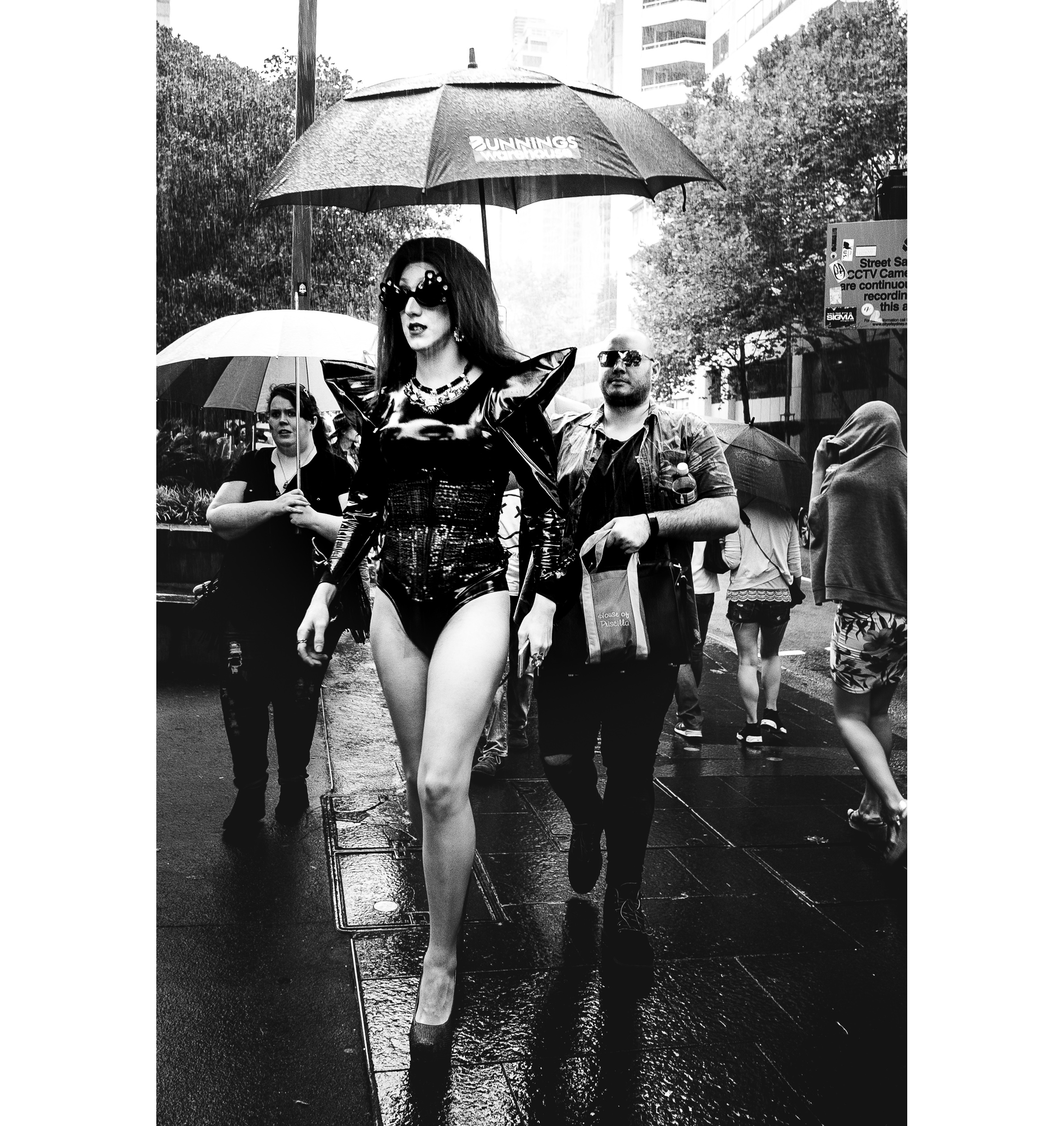 Mardi Gras_folio-1_wide.jpg