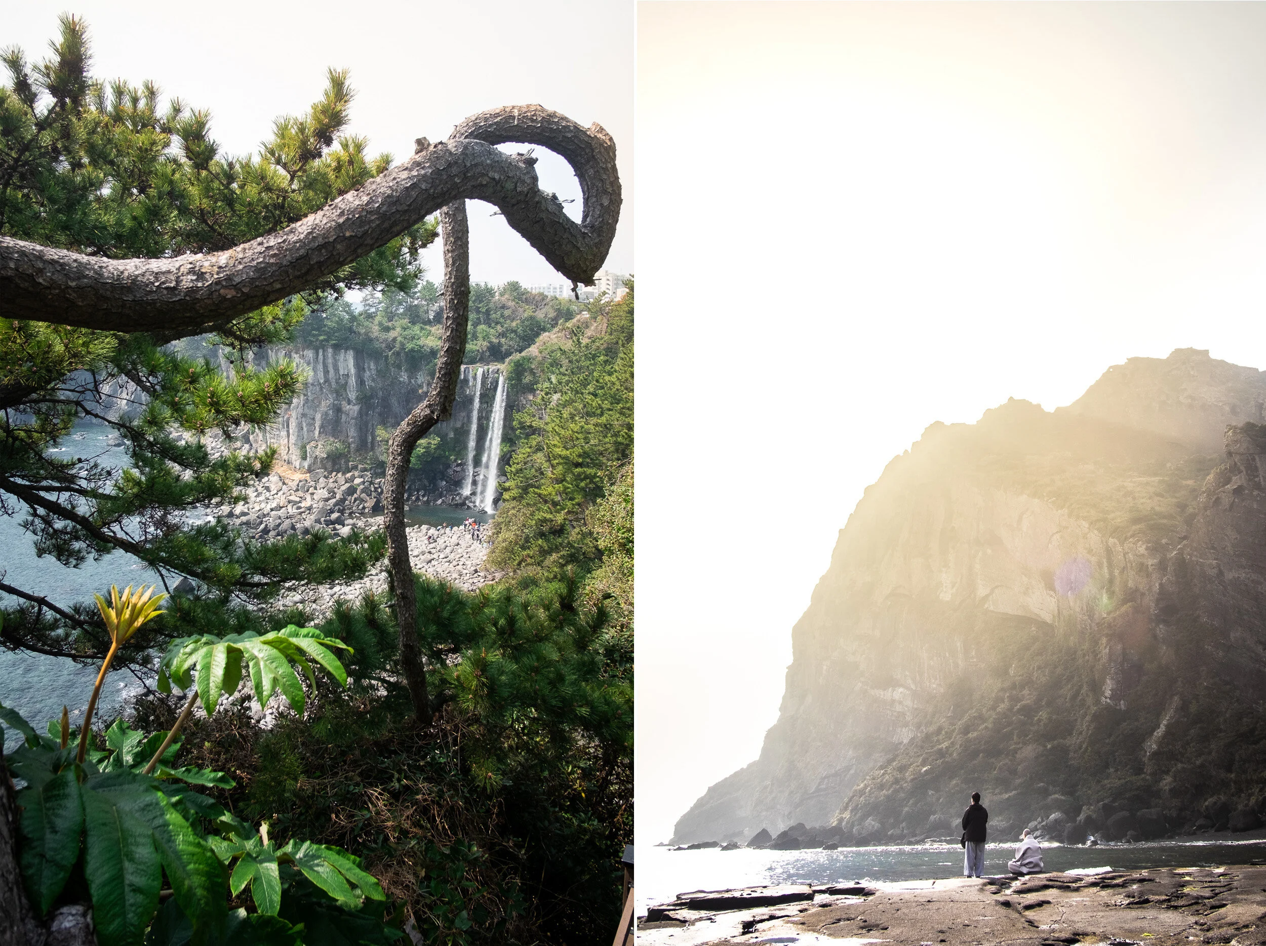 Andrew Braithwaite - Korea 17.jpg