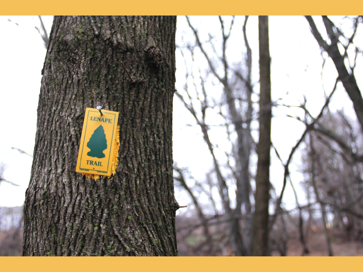 Lenape Trail Image.png