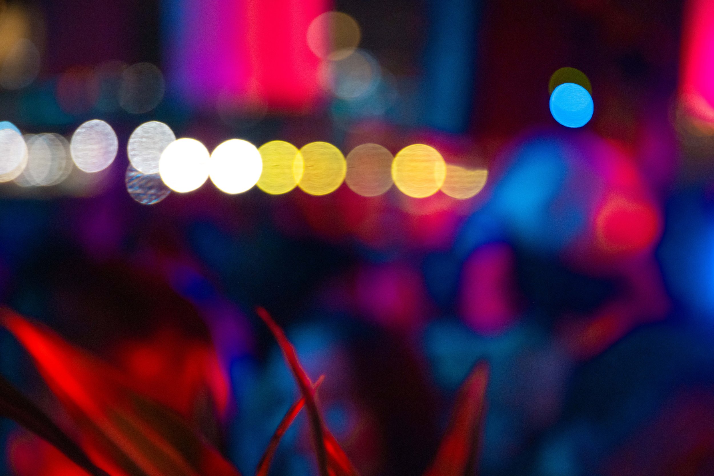 MUSIC_FIRST_NYE-11.jpg