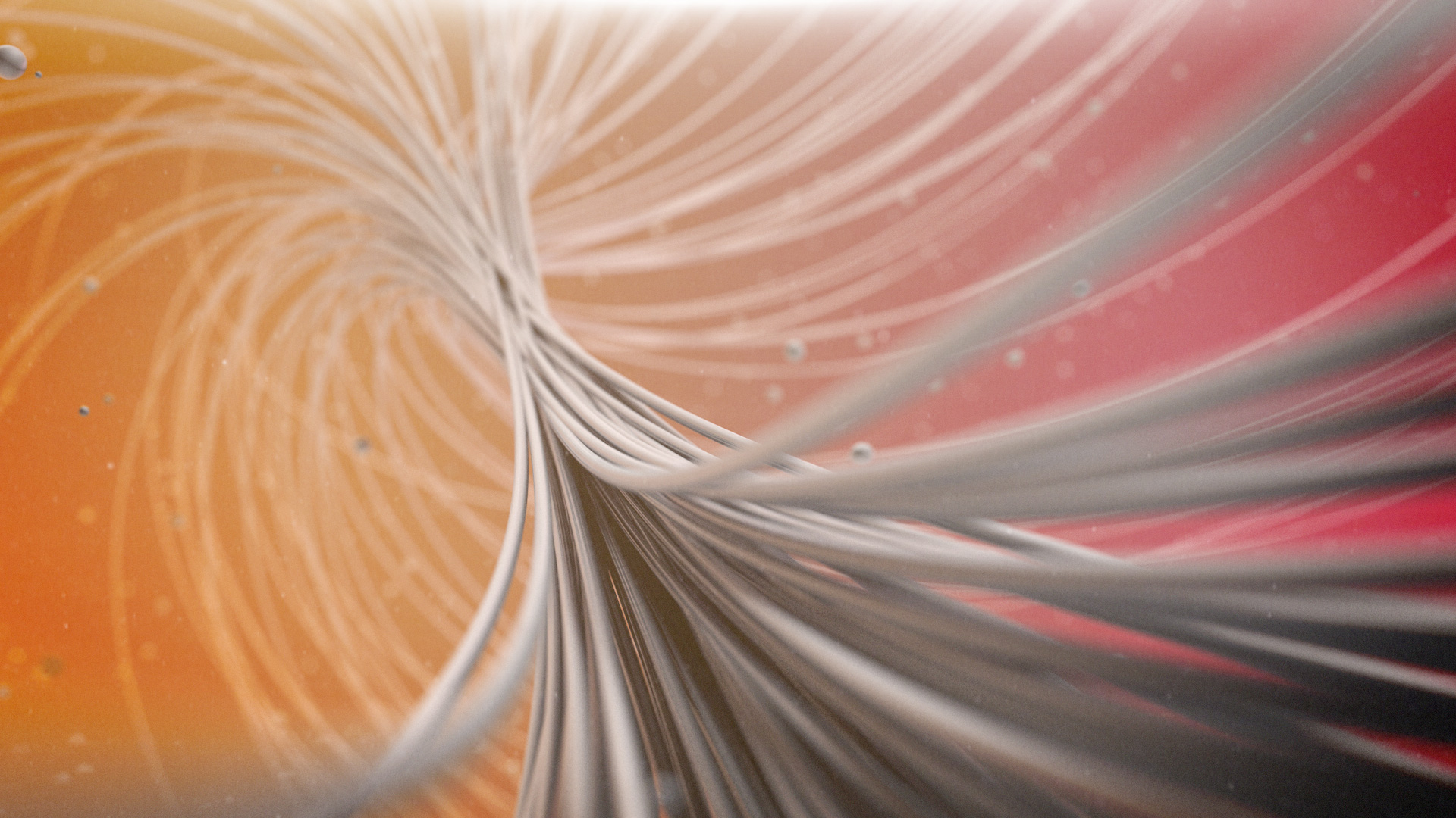 tangled_00.jpg