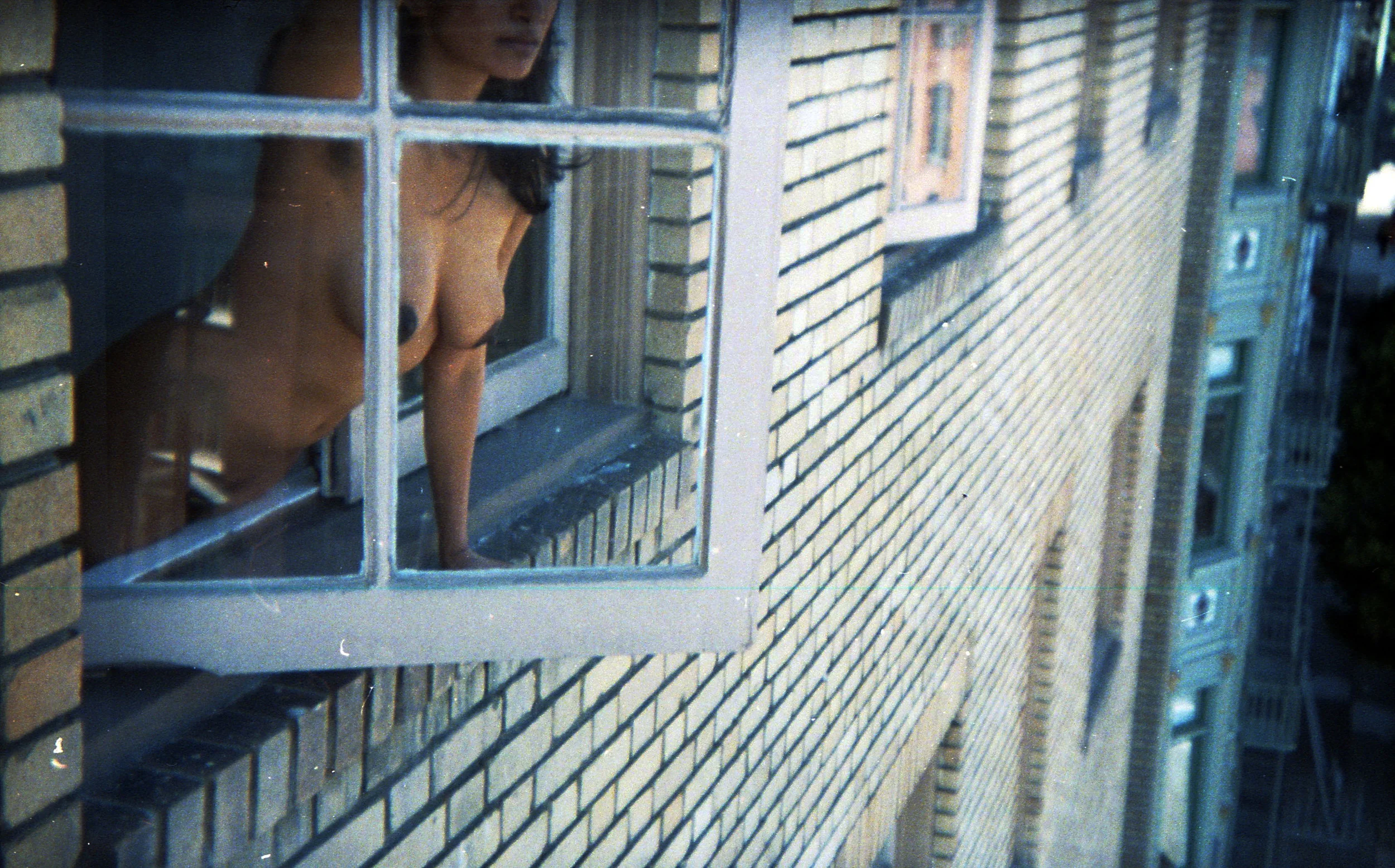 Feral Window.jpg