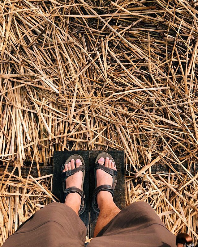 Floating island on a lake in Peru &bull;
&bull;
&bull;
&bull;
&bull;
&bull;
#Peru #laketiticaca #floatingisland #reeds #travel #southamerica #adventure #teva #sandal