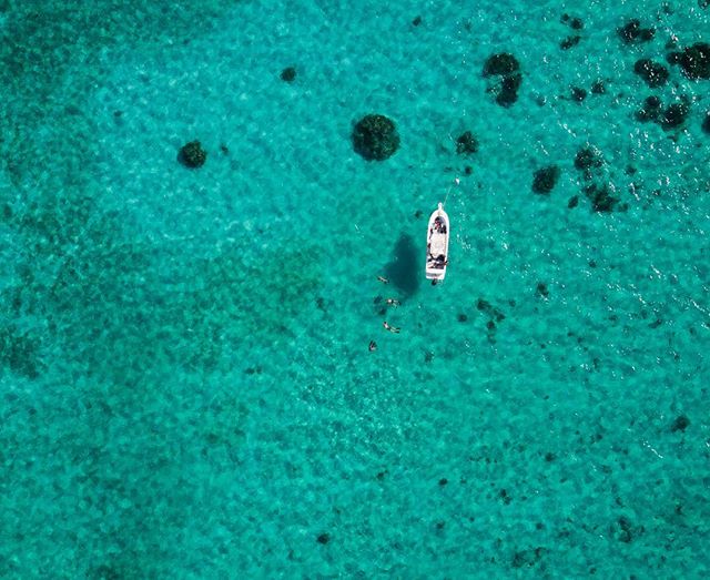 Water this clear always amazes me
&bull;
&bull;
&bull;
&bull;
&bull;
&bull;
&bull;
#drone #water #caribbean #caymanislands #cayman #stingraydeep #freedive #apnea #flying #adventure #travel @paditv #padi