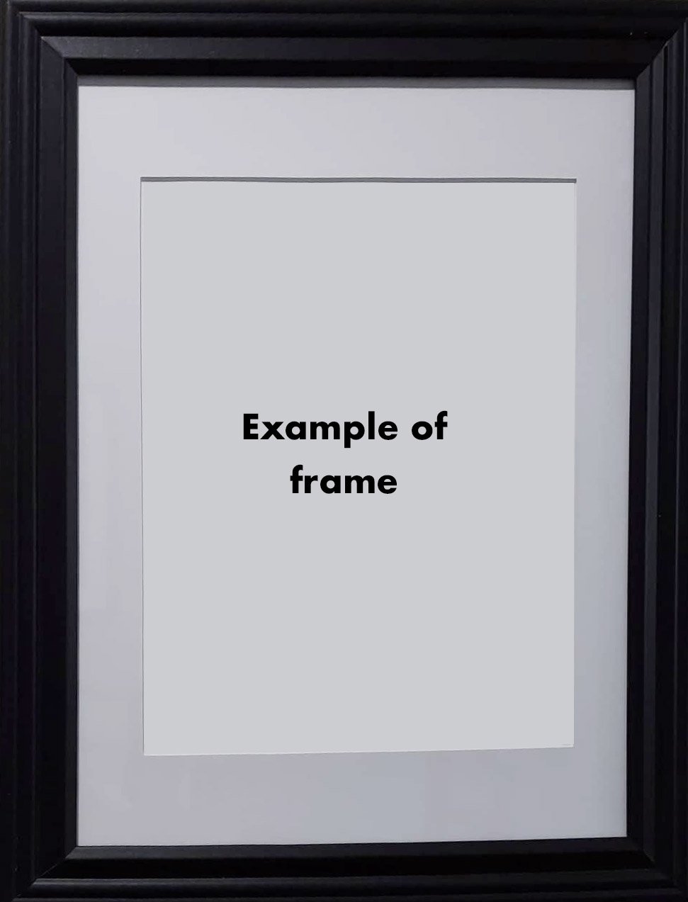 _GV blank example framed.jpg