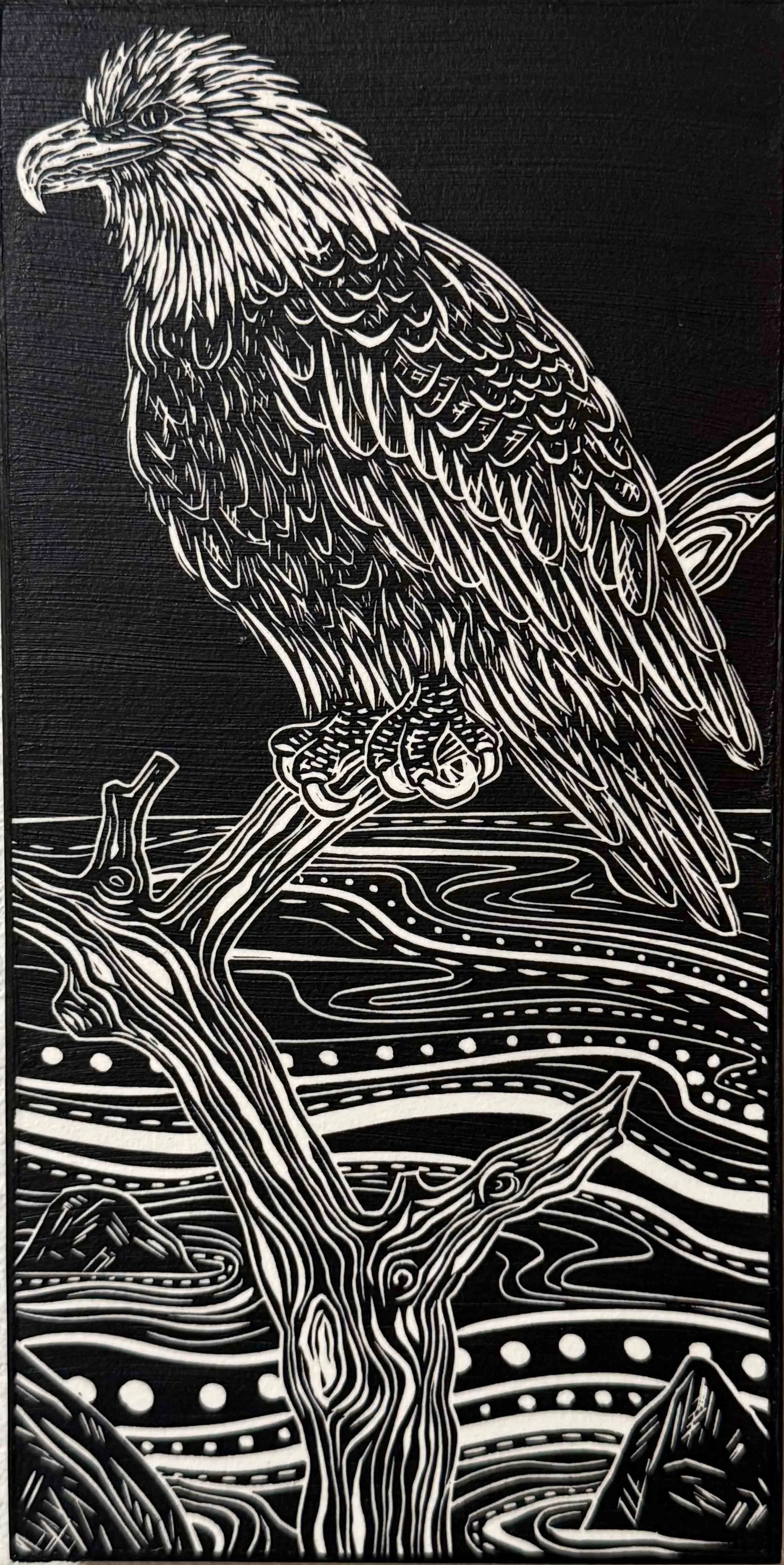 Jellyfish25 - King of the BIrdsV2sm.jpg