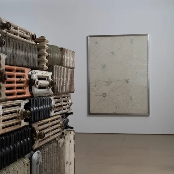 Bharti-Kher-The-hot-winds-that-blow-from-the-West-2011-detail-and-Milk-teeth-2021.-Courtesy-the-artist-Hauser-Wirth-Nature-Morte-and-Perrotin.-Photo-c-Jonty-Wilde-courtesy-Yorkshire-Sculpture-Park_1.webp