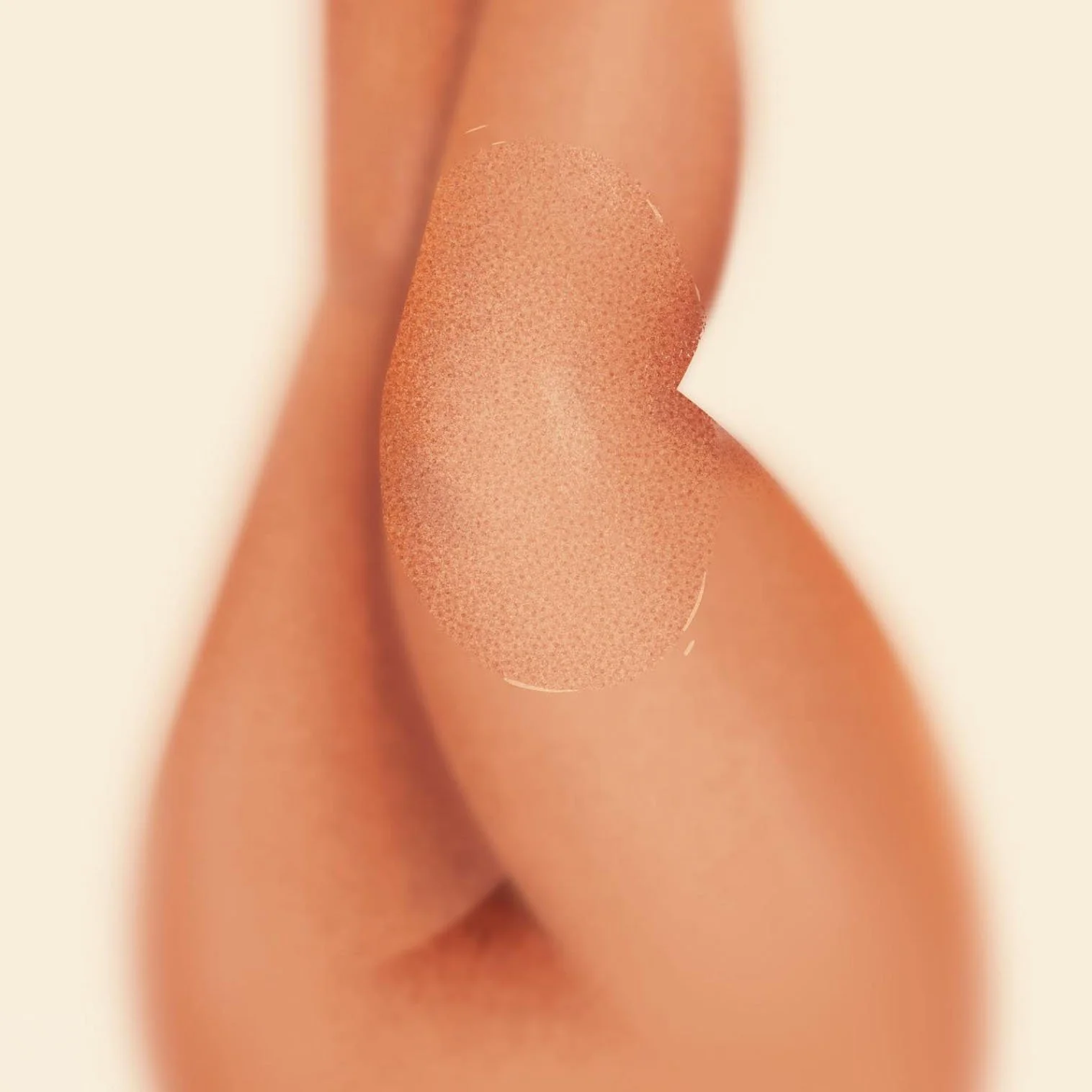 Portfolio_IllustrationArtboard 17.jpg