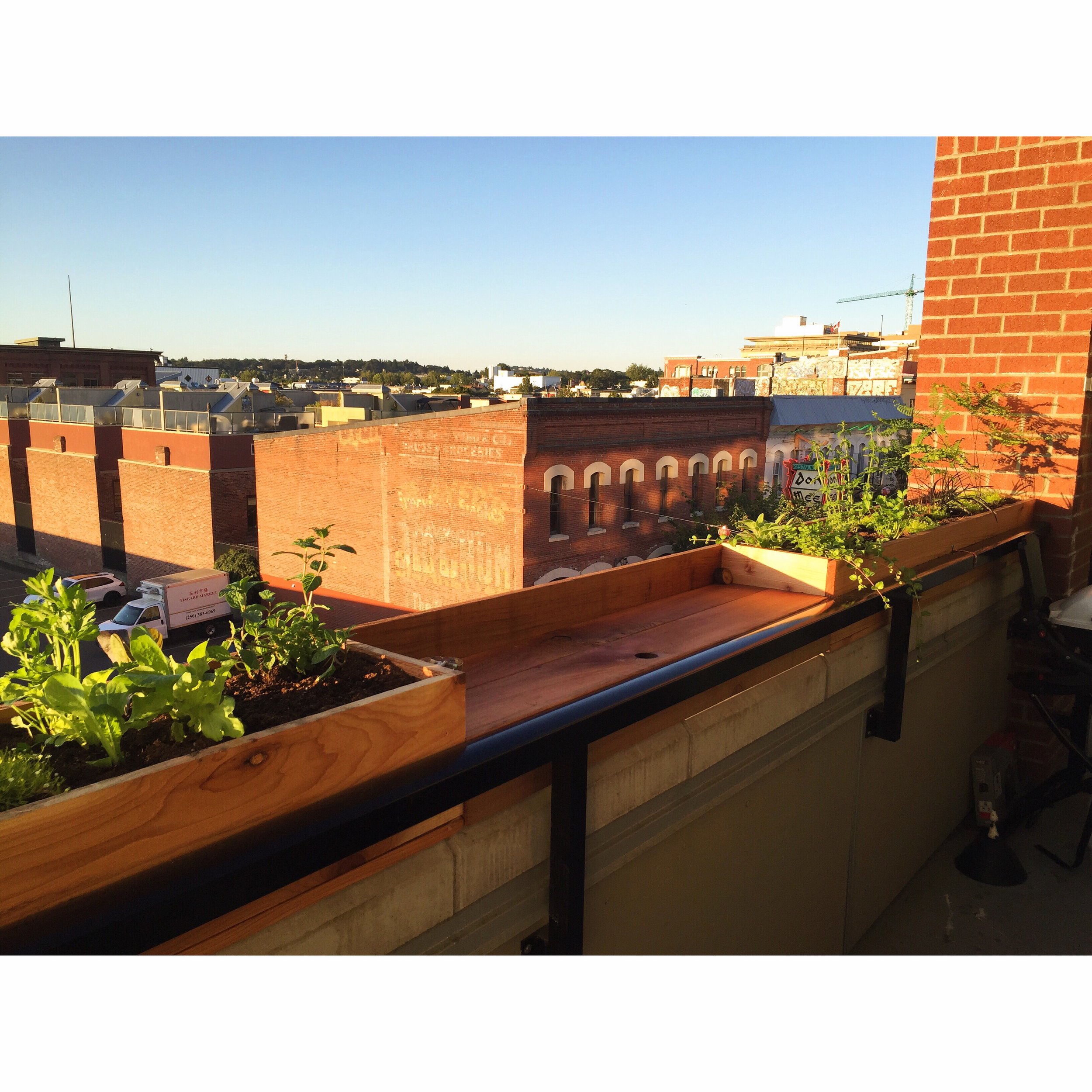 Tarns Patio Bar Sunset.JPG