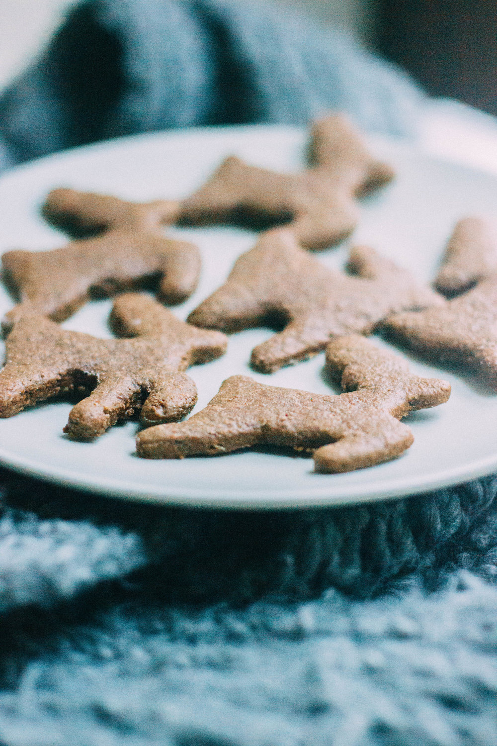 gingerbread-cookies-13b-1.jpg